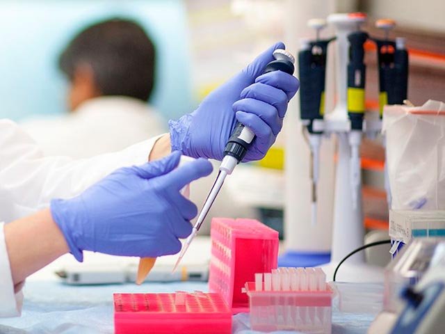 Новости про - Гепатит с 1 генотипом - можно ли вылечить, схема лечения, сколько живут больные с гепатитом генотипа 1а и 1б