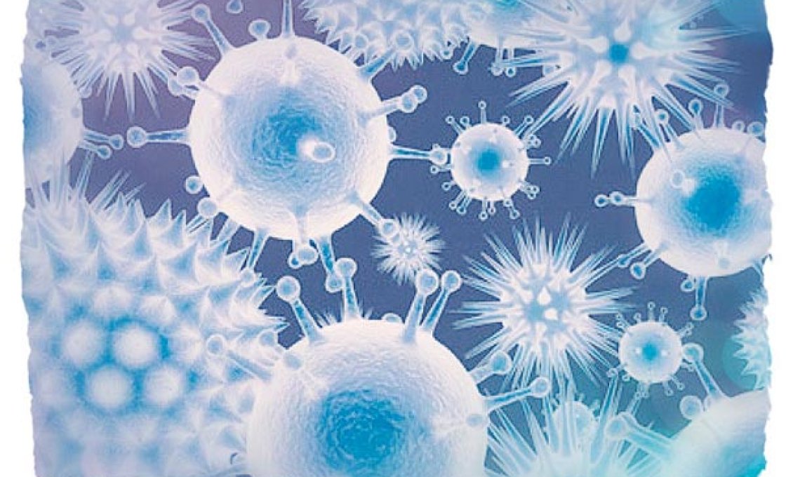 Изображение вируса гепатита С