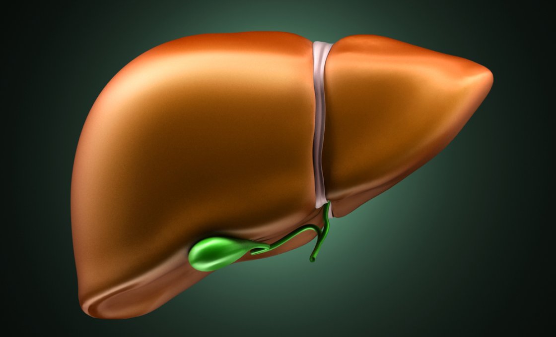 Новости про - Симптомы диффузии паренхимы и что с этим делать