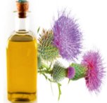 Новости про - Чем полезна расторопша для печени?