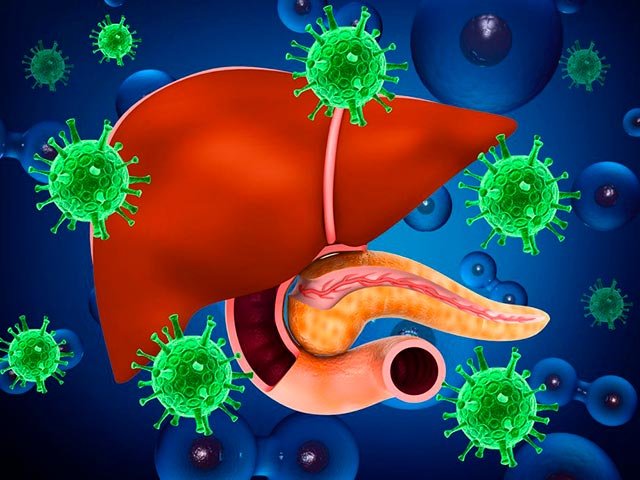 Новости про - Чем отличаются гепатит Б и С - разница между гепатитами, характеристика, пути инфицирования